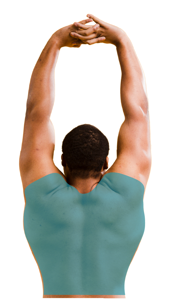 Full Back and Shoulders Laser Hair Removal Areas